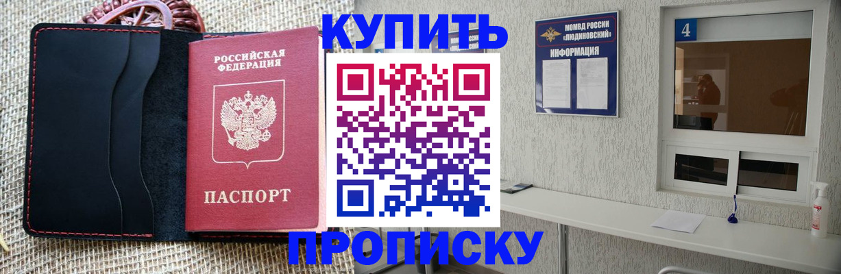 временная регистрация 2025 в Сольцах